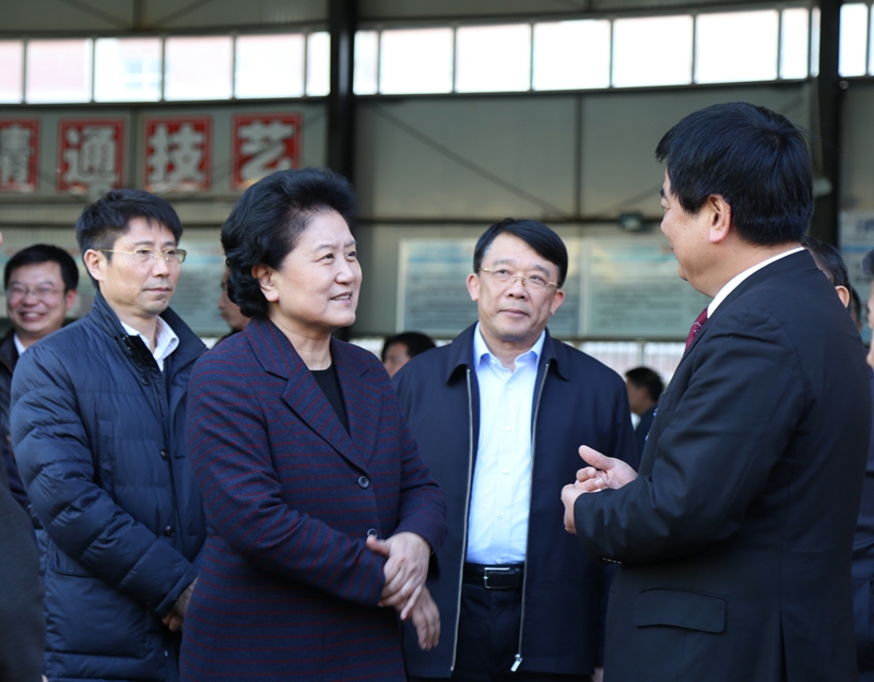 中共中央政治局委員、國務(wù)院副總理劉延?xùn)|在教育部副部長朱之文，四川省教育廳廳長朱世宏等陪同下視察四川應(yīng)用技術(shù)職業(yè)學(xué)院_副本.jpg